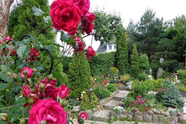 Мы рады объявить победителей конкурса «Мой красивый сад»!